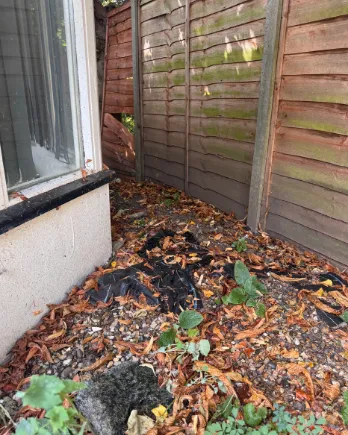 Corner of a garden buried in dead leaves