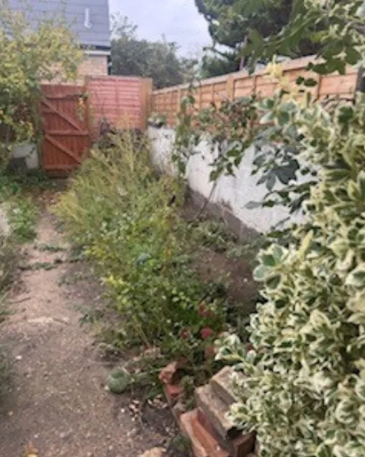 Overgrown shrubs spilling over a garden path